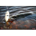 Ripper REDBASS SWIMMER XXL - 200 mm