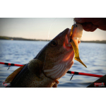 Ripper REDBASS SWIMMER XXL - 200 mm