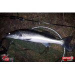 Ripper REDBASS SWIMMER XL - 140 mm