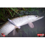 Ripper REDBASS SWIMMER XL - 140 mm