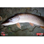 Ripper REDBASS SWIMMER XL - 140 mm