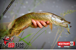 Ripper REDBASS SWIMMER L - 90 mm