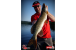 Ripper REDBASS SWIMMER SLIM L - 88 mm