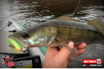 Ripper REDBASS SWIMMER SLIM S - 70 mm