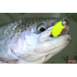 TROUT GRUB L 3 x 25 mm REDBASS