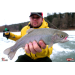 TROUT GRUB L 3 x 25 mm REDBASS