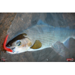 Červosmáček REDBASS WORMETO 77 mm