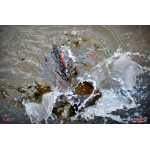 Červosmáček REDBASS WORMETO 77 mm