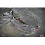 Červosmáček REDBASS WORMETO 77 mm