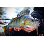 Červosmáček REDBASS WORMETO 77 mm