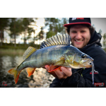 Červosmáček REDBASS WORMETO 77 mm