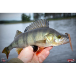 Červosmáček REDBASS WORMETO 77 mm