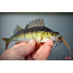 Červosmáček REDBASS WORMETO 77 mm