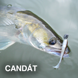 Zvýhodněné sady nástrah na candáty
