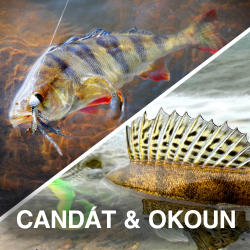 Zvýhodněné sestavy candát / okoun