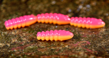 MICRO TROUT GRUB S 3 x 16 mm REDBASS