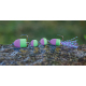 Purple/Green (102)
