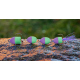 Purple/Green (102)