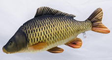Polštář - Kapr šupináč - 100 cm