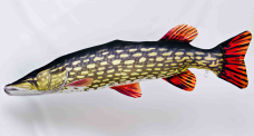 Polštář - Štika - 200 cm
