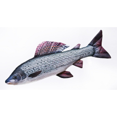 Polštář - Lipan - 65 cm