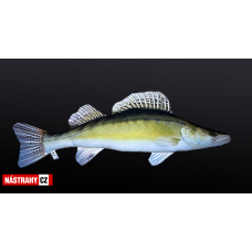 Polštář - CANDÁT - 76 cm