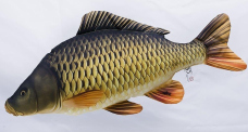 Polštář - Kapr šupináč - 64 cm