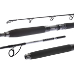 Přívlačový prut Daiwa BG Deep Sea