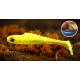 SIGNAL YELLOW G - UV COLOR