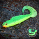 FLUO/GREEN RH - UV COLOR