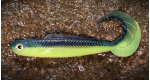 BLACK/SIGNAL YELLOW G - UV COLOR