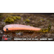 RAINBOW TROUT - UV COLOR