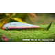 RAINBOW TROUT - UV COLOR