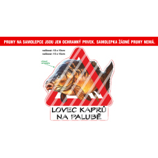 Rybářská samolepka Lovec kaprů na palubě