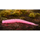 HOT PINK GLOW - UV COLOR