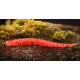RED WORM - UV COLOR