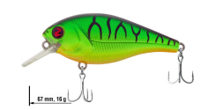 Wobler Biggie 67 River2Sea