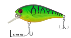 Wobler Biggie 67 River2Sea