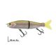 Color: Rainbow Trout