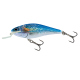 Color: HOLO SHINER