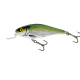 Color: OLIVE BLEAK