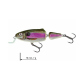 Color: SPOT BAIT