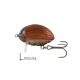 Color: MAY BUG