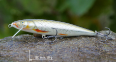 Wobler 3STAN Fat minnow 180 King Shallow