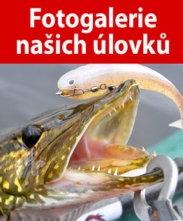 Woblery - doplněny