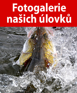 Woblery - doplněny